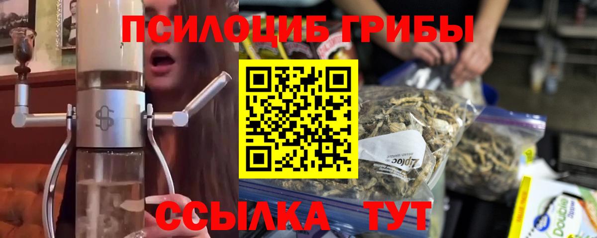 Галлюциногенные грибы Psilocybine cubensis Ростов-на-Дону